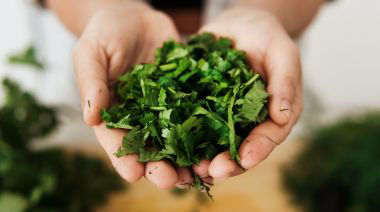 garnishing-instructions-image